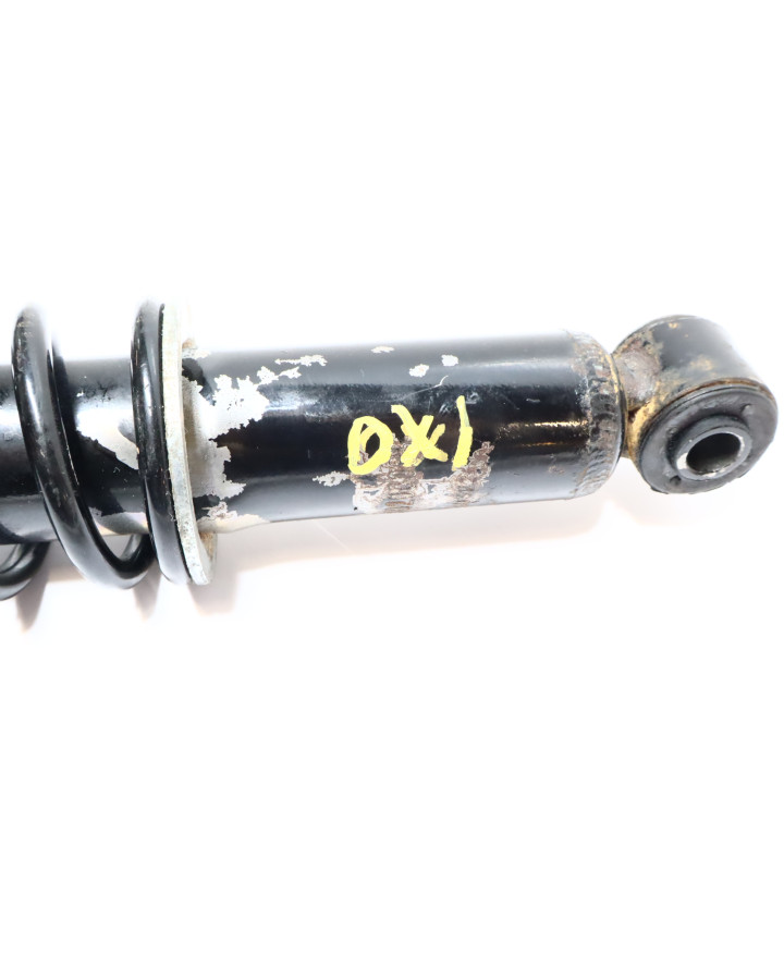 Ligier IXO, stötdämpare bak