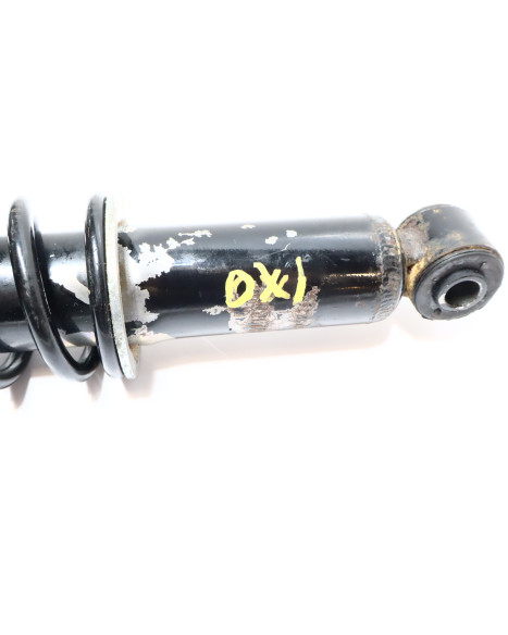 Ligier IXO, stötdämpare bak