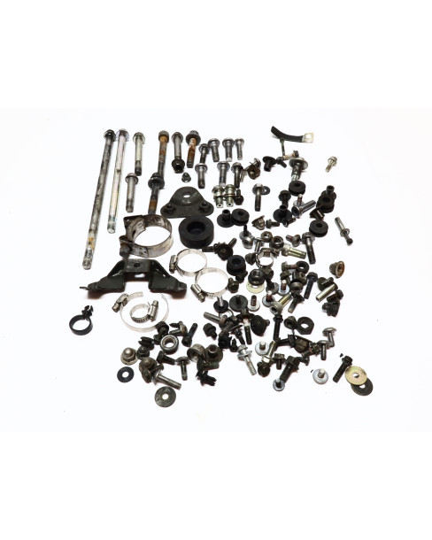 Kawasaki Z1000, skruvkit