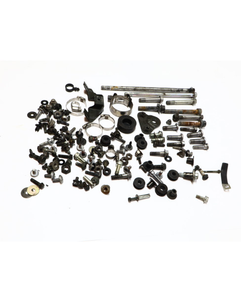 Kawasaki Z1000, skruvkit 2