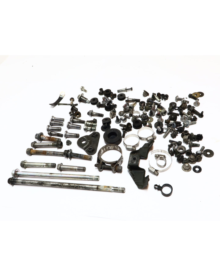 Kawasaki Z1000, skruvkit