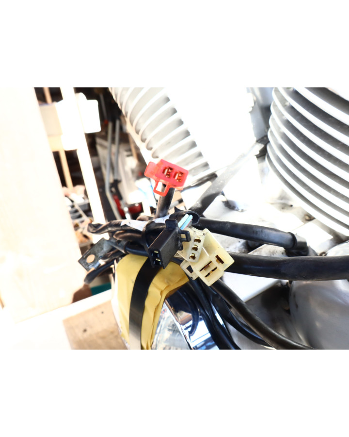 Honda VT750 Shadow, motor