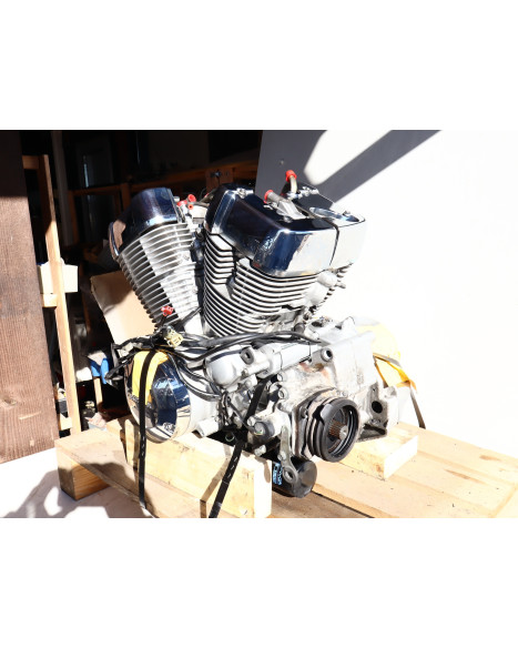 Honda VT750 Shadow, motor