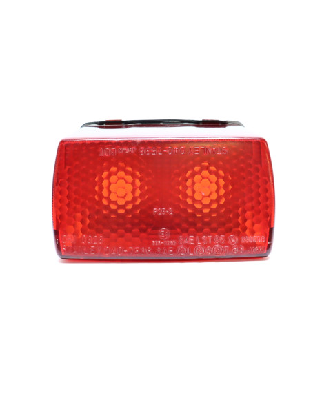 Yamaha FZR 600, baklykta