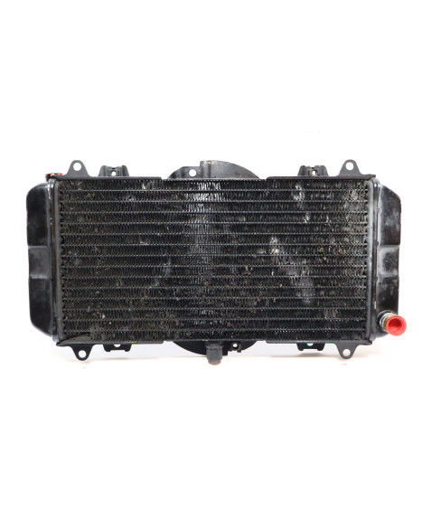 Yamaha FZR 600, kylare