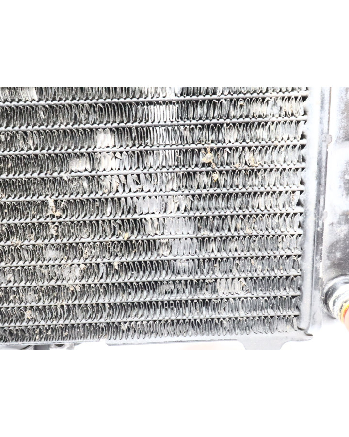 Yamaha FZR 600, kylare