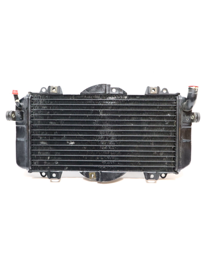 Yamaha FZR 600, kylare