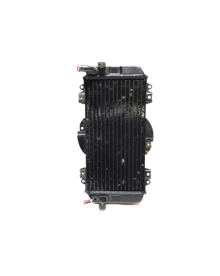 Yamaha FZR 600, kylare