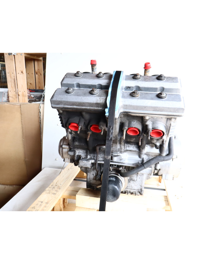 Yamaha FZR 600, motor