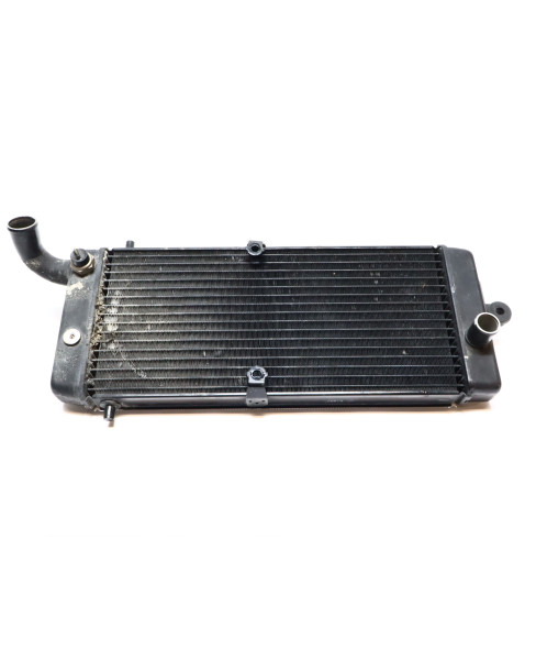 Honda VT750 Shadow, kylare