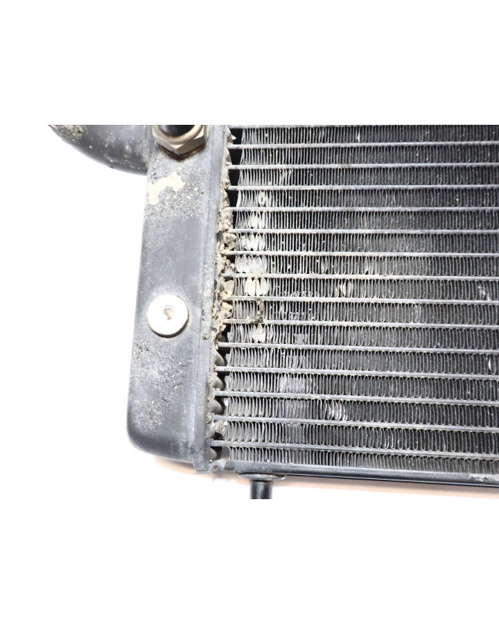 Honda VT750 Shadow, kylare