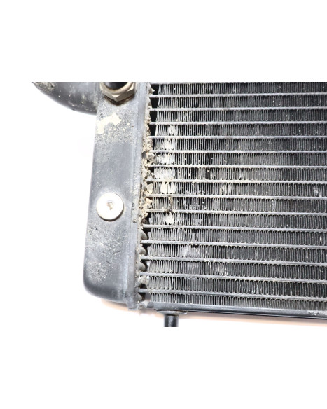 Honda VT750 Shadow, kylare