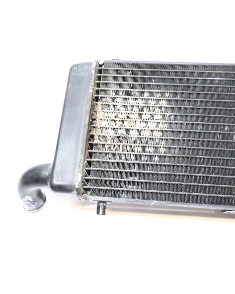 Honda VT750 Shadow, kylare