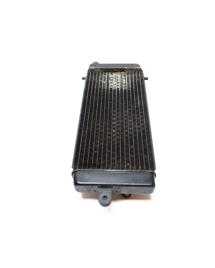 Honda VT750 Shadow, kylare