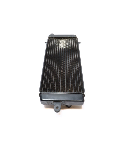 Honda VT750 Shadow, kylare