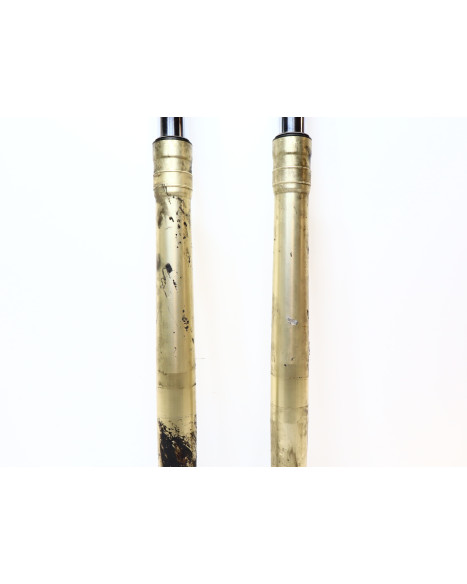 BMW F800GS, gaffelben (par)