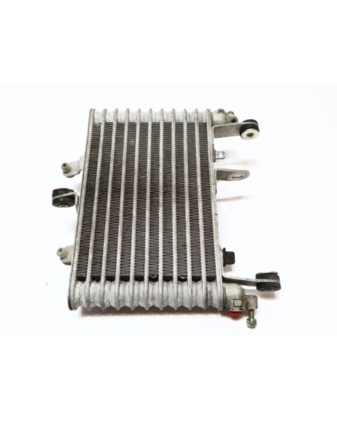 Yamaha YZF-R1, oljekylare 2