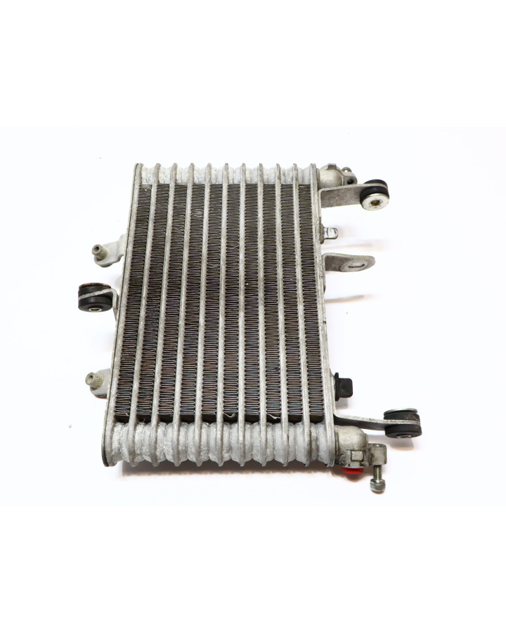 Yamaha YZF-R1, oljekylare