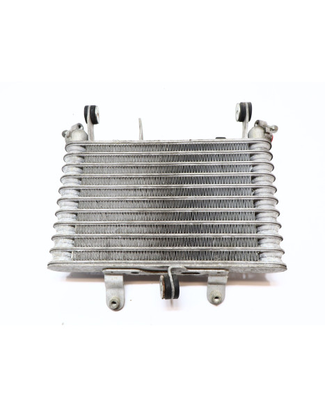 Yamaha YZF-R1, oljekylare