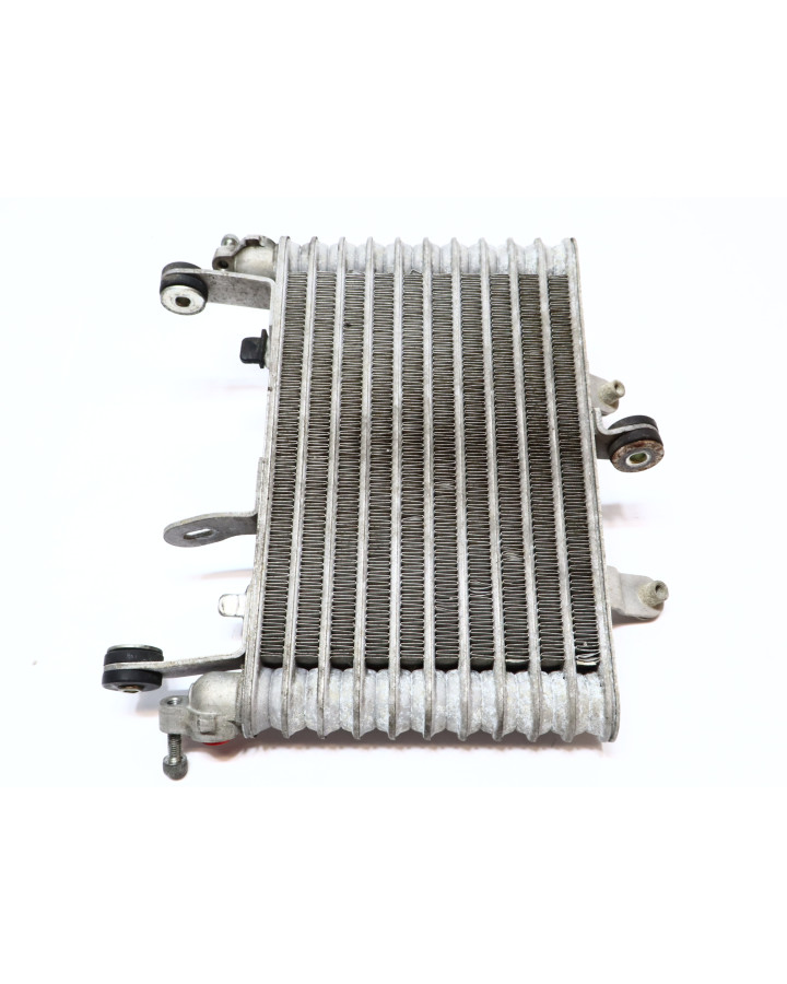 Yamaha YZF-R1, oljekylare