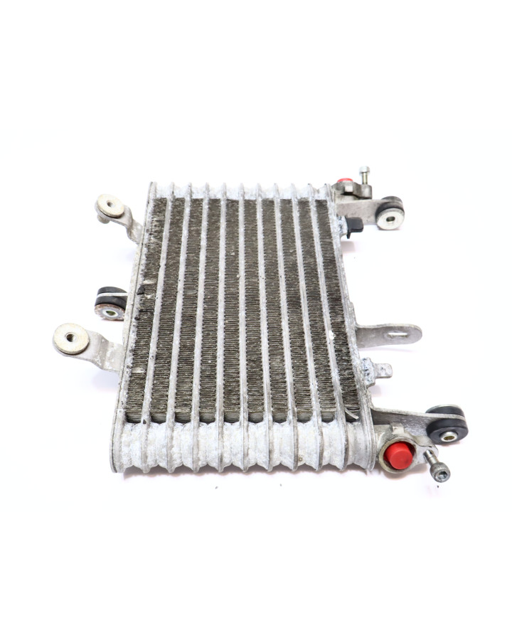 Yamaha YZF-R1, oljekylare