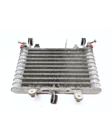 Yamaha YZF-R1, oljekylare