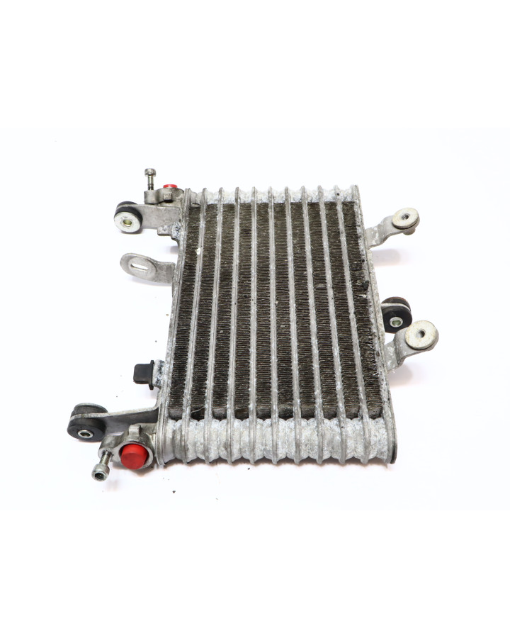 Yamaha YZF-R1, oljekylare