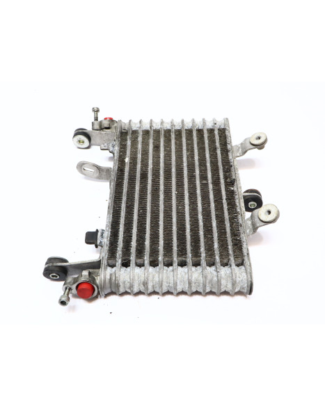 Yamaha YZF-R1, oljekylare