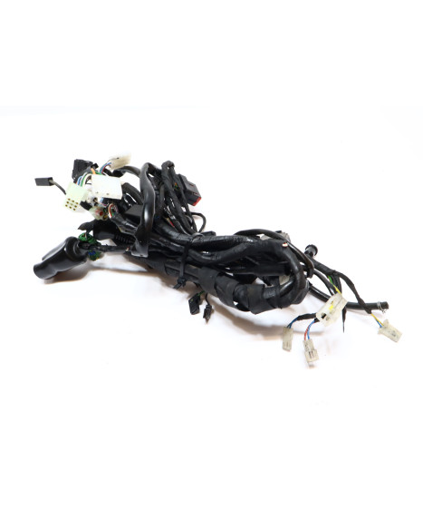 Derbi Senda/Aprilia SX50/Gilera SMT, kabelhärva