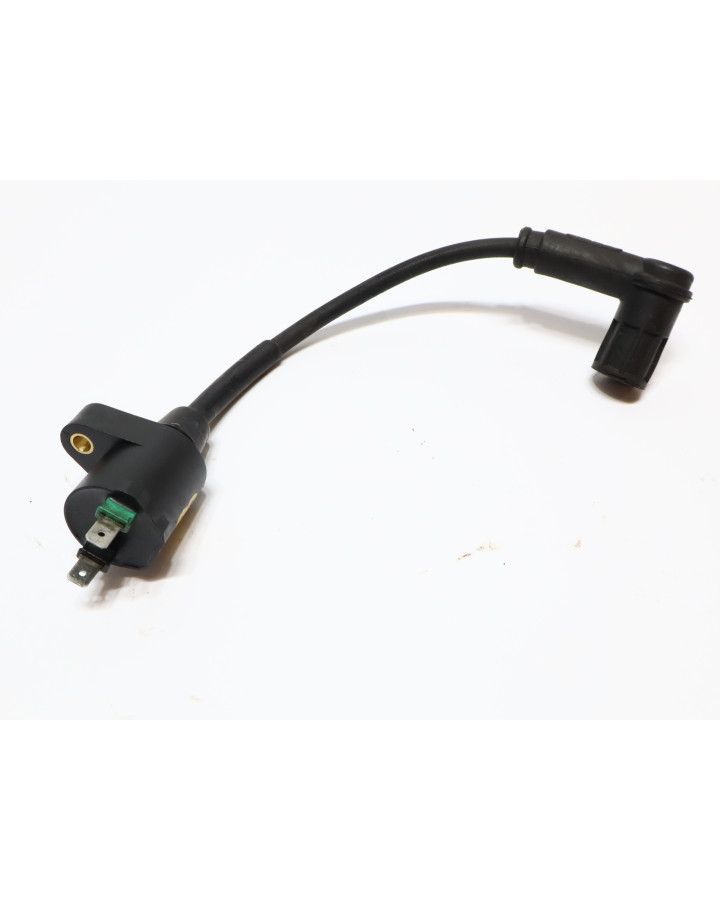 Derbi Senda/Aprilia SX50/Gileria SMT, tändspole