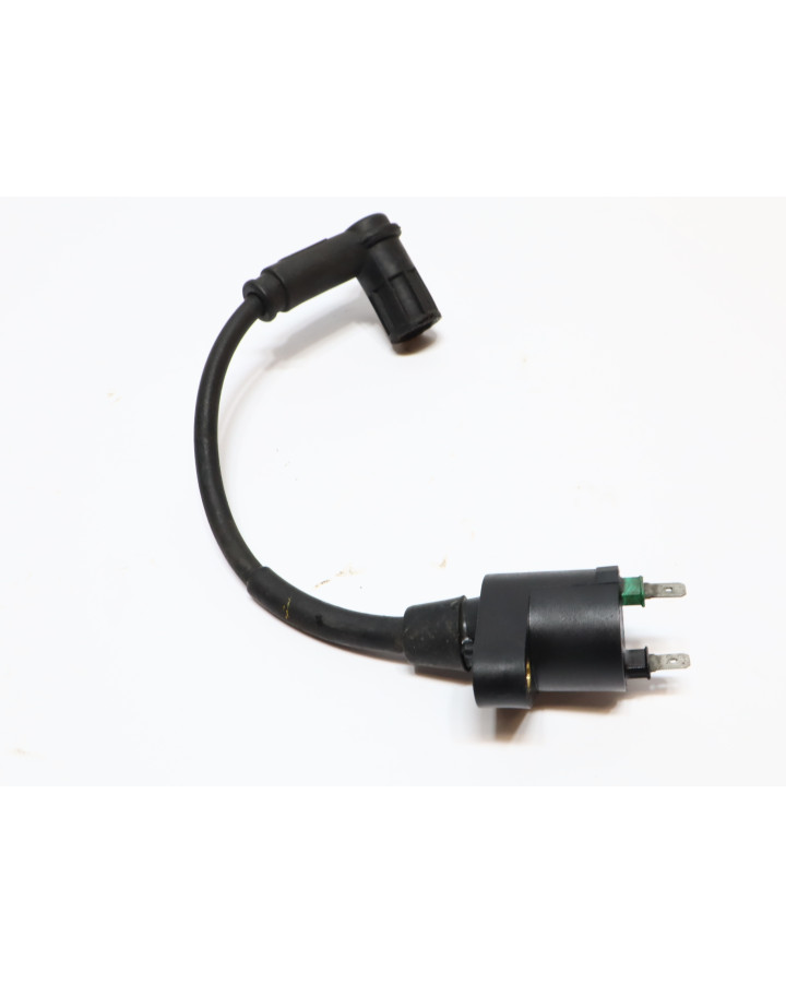 Derbi Senda/Aprilia SX50/Gileria SMT, tändspole