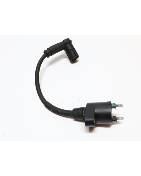 Derbi Senda/Aprilia SX50/Gileria SMT, tändspole