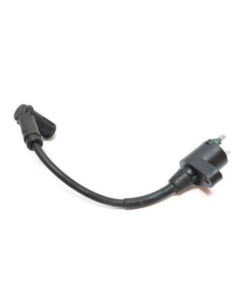 Derbi Senda/Aprilia SX50/Gileria SMT, tändspole