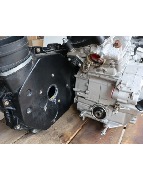 Stels Geupard Trophy 800, motor