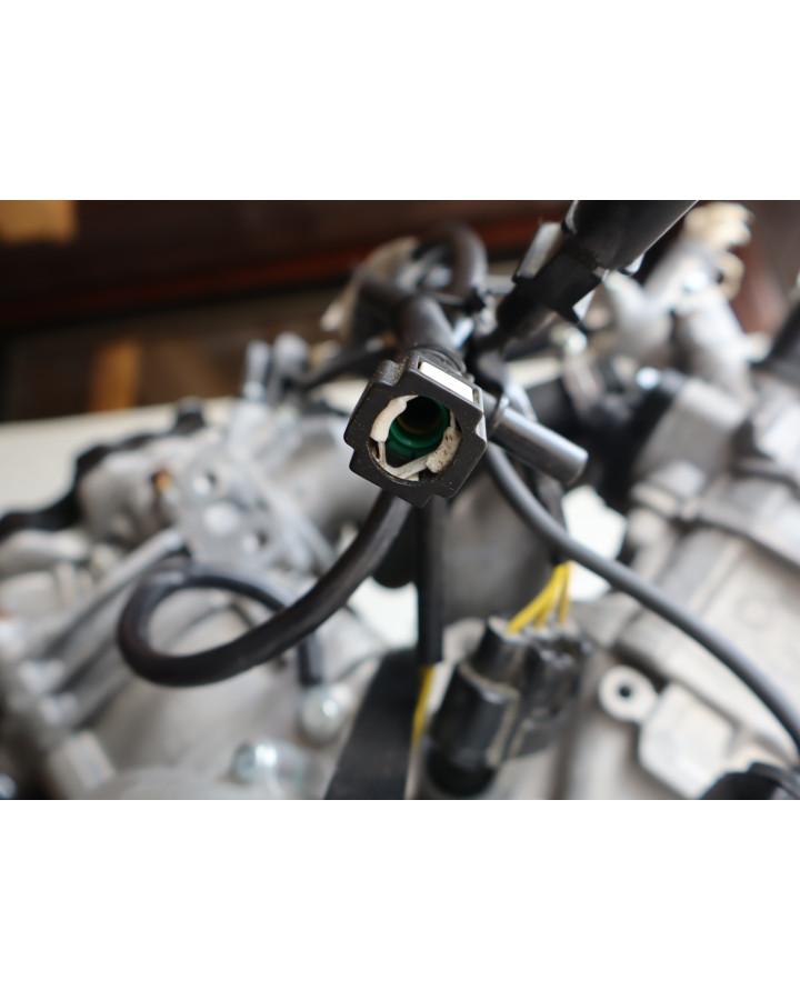 Stels Geupard Trophy 800, motor