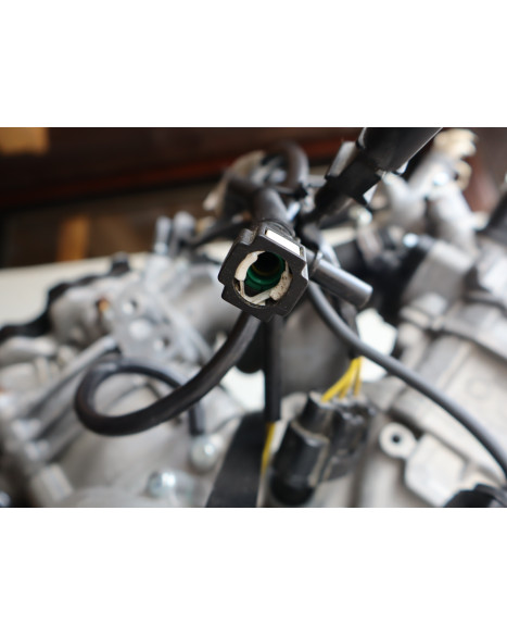 Stels Geupard Trophy 800, motor