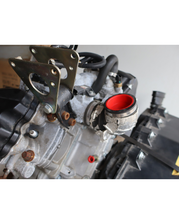 Stels Geupard Trophy 800, motor