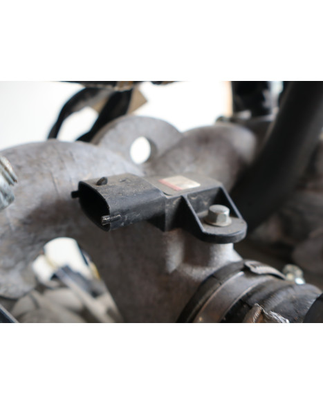 Stels Geupard Trophy 800, motor