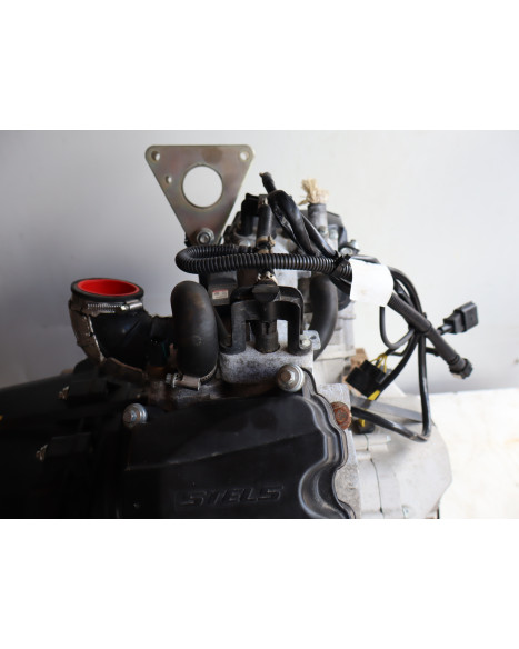 Stels Geupard Trophy 800, motor