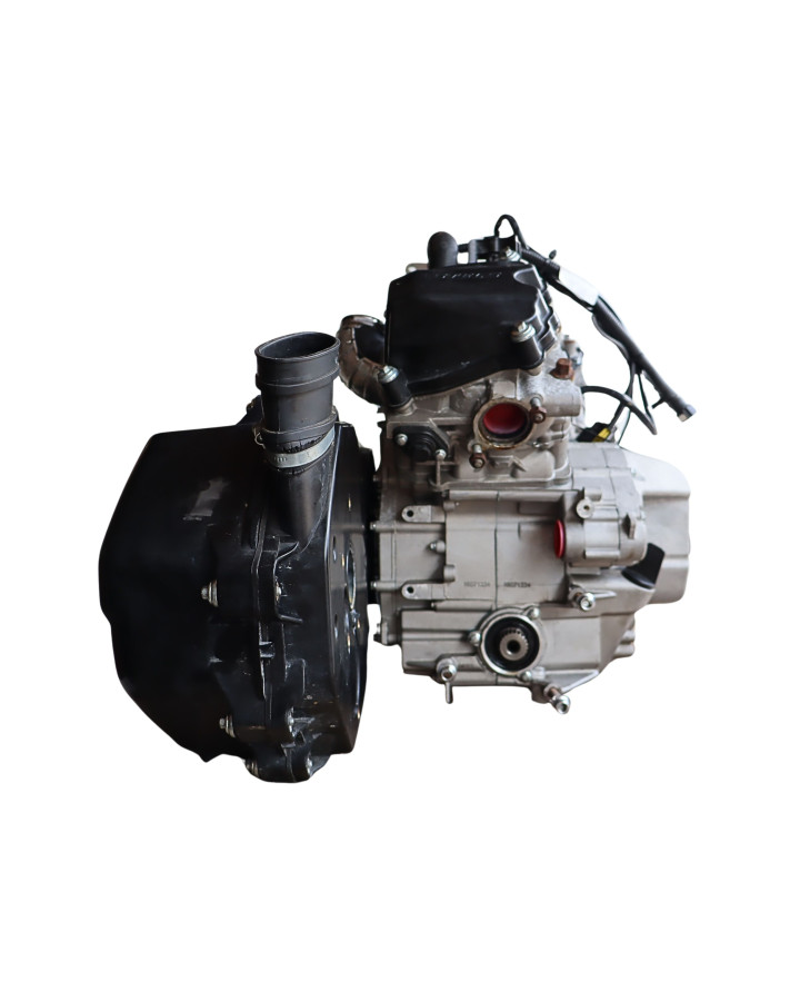 Stels Geupard Trophy 800, motor