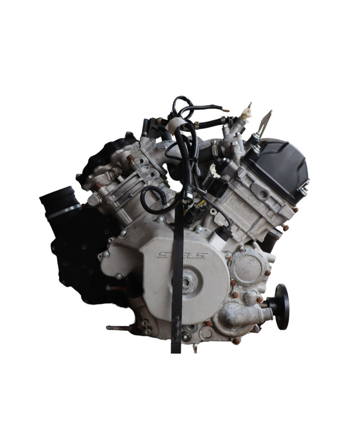 Stels Geupard Trophy 800, motor