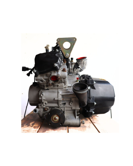Stels Geupard Trophy 800, motor