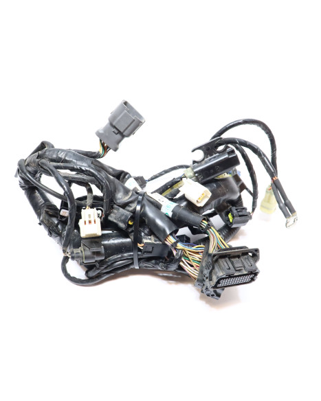 KTM 1290 Super Duke R, kabelhärva motor