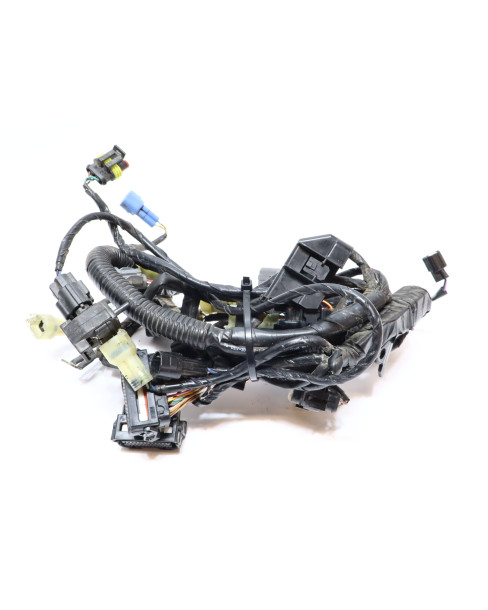 KTM 1290 Super Duke R, kabelhärva motor