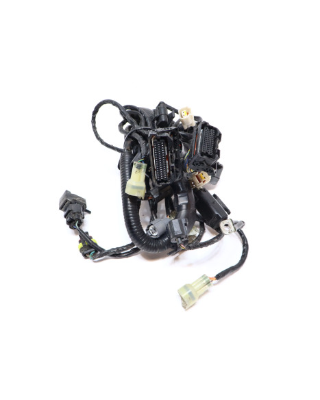 KTM 1290 Super Duke R, kabelhärva motor