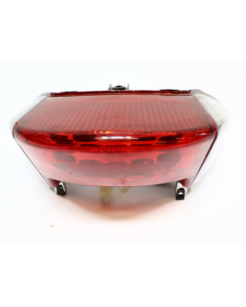 MotoCR T-Rex, baklykta