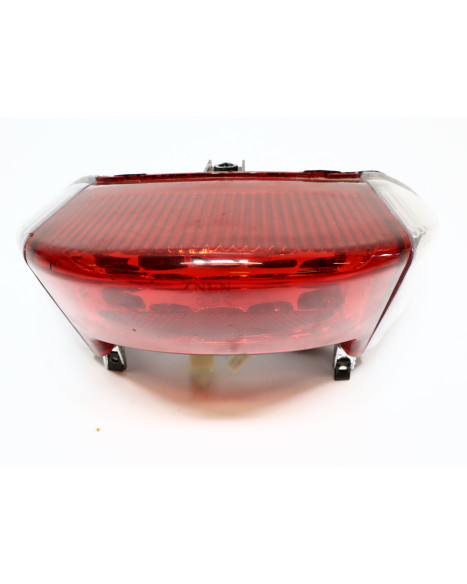 MotoCR T-Rex, baklykta