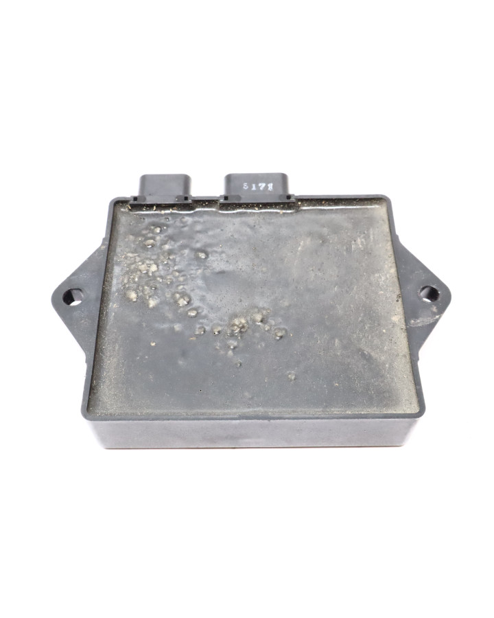 Yamaha XJ900S Diversion, CDI/ECU