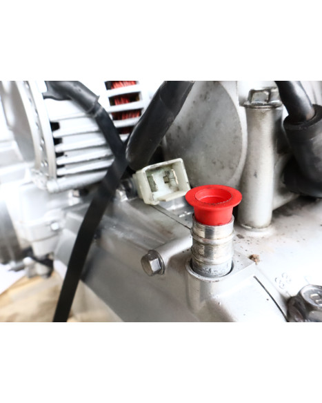 Yamaha XJ900S Diversion, motor