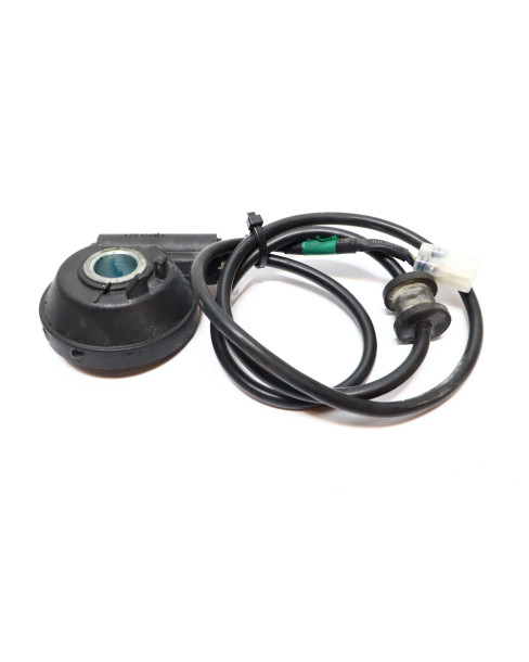 Royal Enfield Himalayan 410, hastighetsgivare